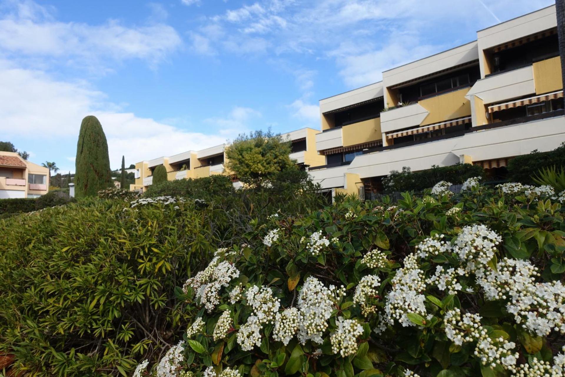 Les Jardins De Bandol, Piscine Privee, Belle Vue Mer Eksteriør billede